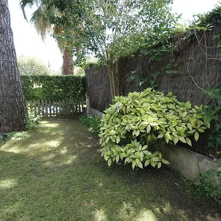 La Pineda *